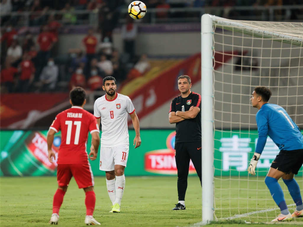 不妨回顾一 不妨回顾一